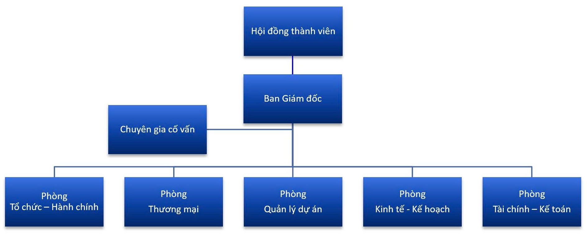 Sơ đồ tổ chức MEGA EC